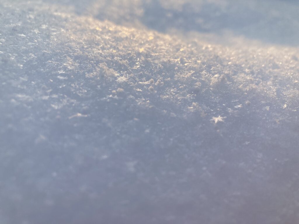 雪の結晶がよく見える新雪