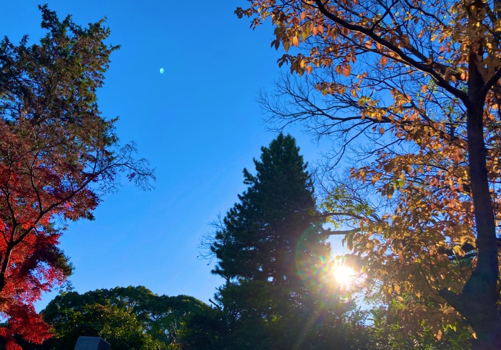 青空に西陽、紅葉など